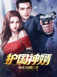 护国神婿完整版全文免费阅读