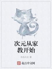 次元机的次元家教